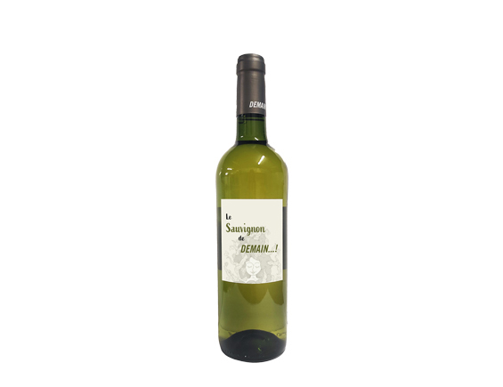 Domaine De Gournier Demain! Sauvignon Blanc 2021