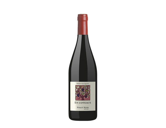 En Côteau Pinot Noir 2024 By Jeff Carrel